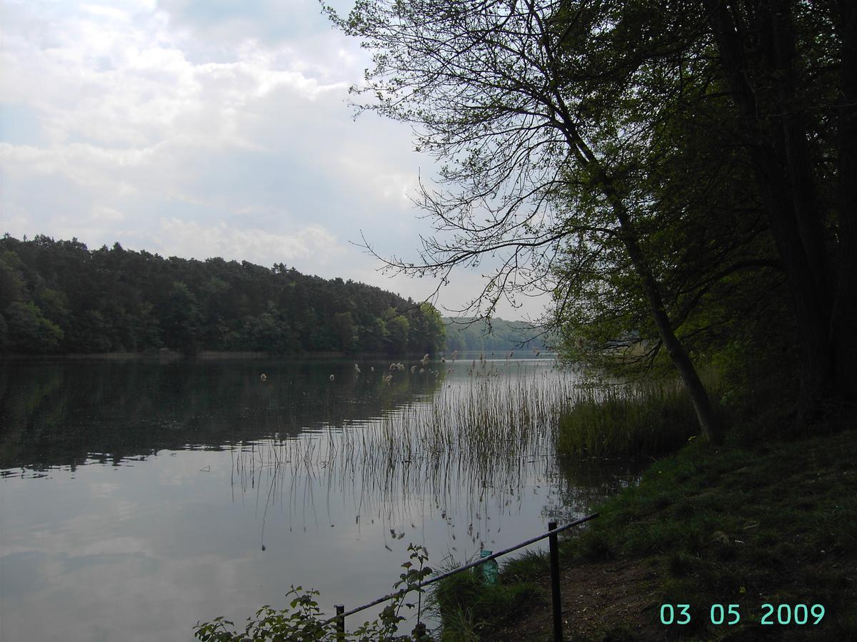 Ferienwohnung Luzinblick Feldberger Seenlandschaft Buitenkant foto